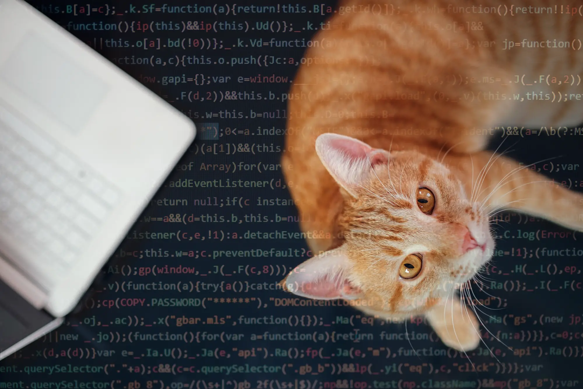 Сознание соавторства с ИИ: почему Codex усиливает, а не вытесняет разработчика